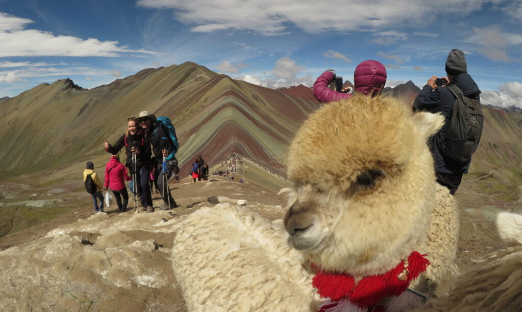 Viajar es Increíble tours 2022